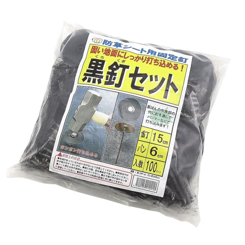 SN Agreen Black Nail Set, 20 cm, Set de 100 miniatura 2