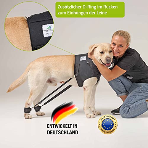 Nature Pet Hundeexpander & Rehageschirr für Hunde – Flexipander zur Rehabilitation, Mobilitätshilfe & sanften Unterstützung L