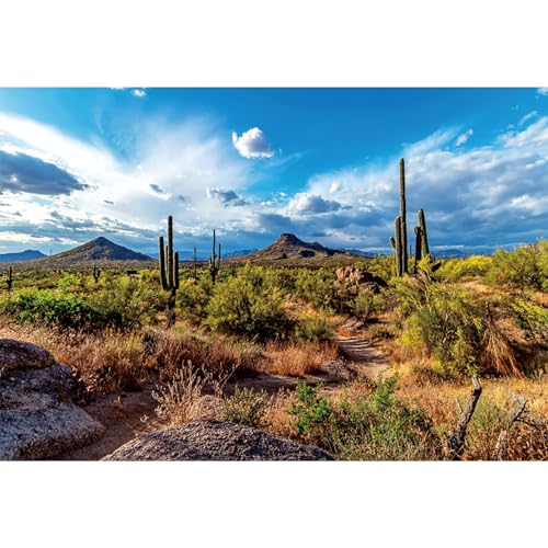 Fondo fotográfico cactus desierto 7x5ft con plantas y dunas miniatura 1