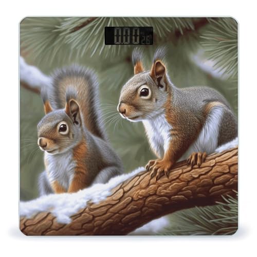 Báscula Digital Little Squirrel Peso Corporal Precisa miniatura 1