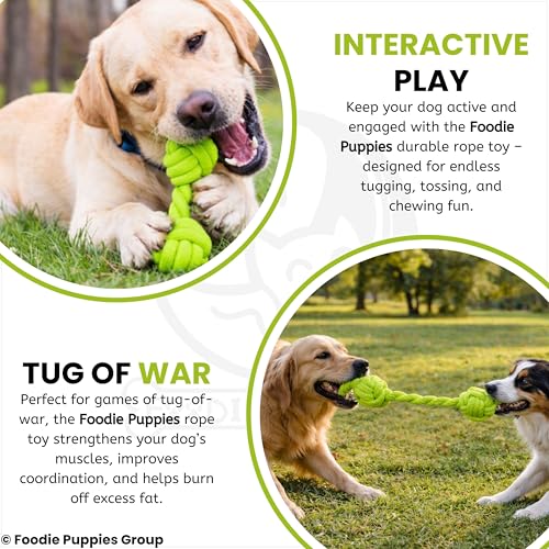 Image of Foodie Puppies Durable Cotton Rope Chew Toy for Dogs (Dumbbell Rope) | Chewing, Fetching, Playing, Teething & Training for Small to Medium Dogs & Puppies (Color May Vary)