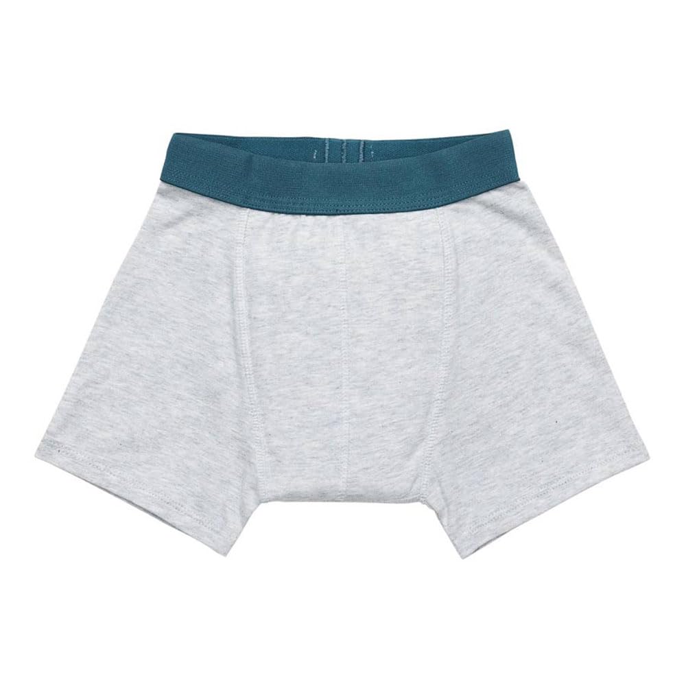 Brolly Sheets Snazzipants Night Training Pants, Reusable Absorbent Underwear, Waterproof Layer, Size Guide 2-12 Years (Cloudy, 3-4 Years)