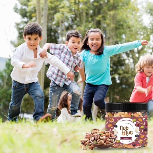 Image of Nut O Nut Healthy Mix Dry Fruits (Almond, Cashew(W240), Walnut, Green & Black Raisin, Cranberry, Sunflower Seeds, Pumpkin Seeds) Nuts and Dry Fruits (Jar Pack) 1KG - Power of 9 Protein-Rich Snack Panchmewa- Diwali Gift Pack