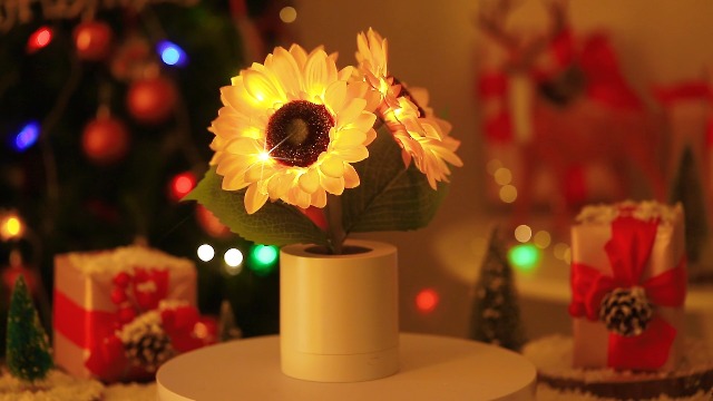 WSYEAR Sunflower Gifts for Women-Sunflowers Flower Lamp Night