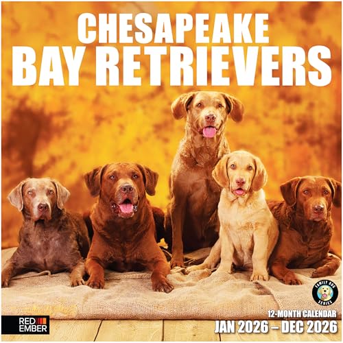 Image of RED EMBER Chesapeake Bay Retrievers Chessies 2026 Wall Calendar 12 Month | 12 inch x 24 inch Open | Thick & Sturdy Paper | Holiday Gift | Cute Puppy Dog Calendar 2026