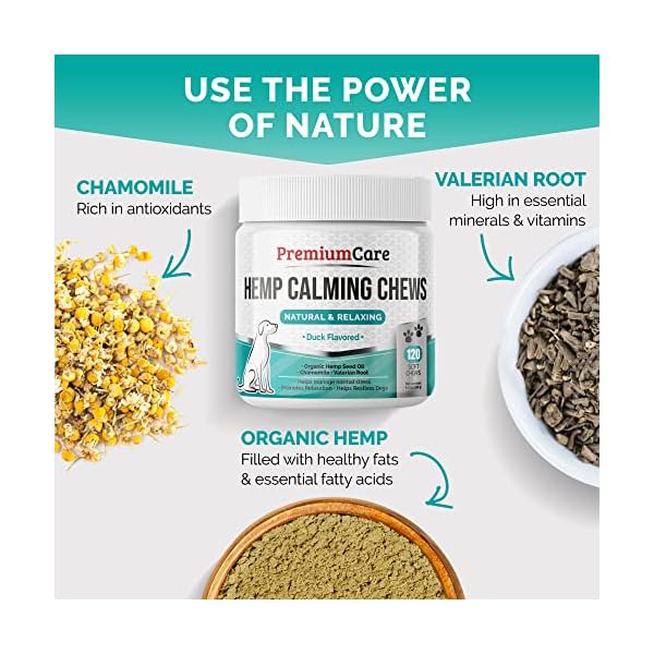 PREMIUM-CARE-Hemp-Calming-Chews-for-Dogs-Made-in-USA-Helps-with-Dog-Anxiety-Separation-Barking-Stress-Relief-93-oz-264g-120-count PREMIUM-CARE-Hemp-Calming-Chews-for-Dogs-Made-in-USA-Helps-with-Dog-Anxiety-Separation-Barking-Stress-Relief-93-oz-264g-120-count