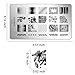 Ejiubas Gel Nail Polish Kit Nail Stamping Kit Flower for Nail Art Design EJB-01 X 02