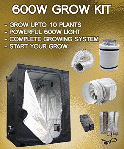 600w Grow Tent Kit for 5-10 Indoor Plants