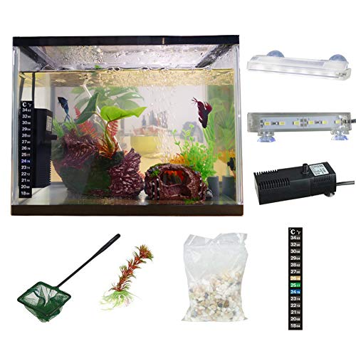 SALUTE MiniBow Aquarium Starter Kits with Lighting Filter (Black -3.5 Gallon) SALUTE MiniBow Aquarium Starter Kits with Lighting Filter (Black -3.5 Gallon)