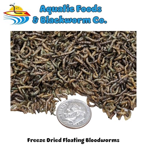 Aquatic Foods Inc. Bloodworms, Grade A Floating Freeze Dried Bloodworms for All Tropical Fish, Marine Fish, Cichlids, Discus, Tetras, Goldfish, Bettas, Angel Fish, Carnivorous Plants...2oz Small Jar - Thumbnail 2