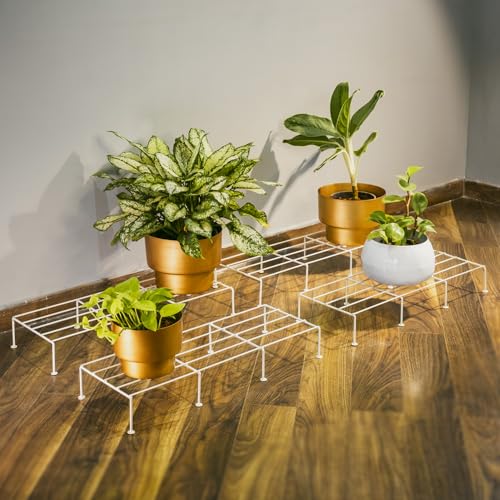 TrustBasket Bold Plant Stand | 24 Inch, Set of 4 | Durable Anti-Rust Metal | 80 KG Capacity | Plant Stands for Outdoor Balcony & Indoor Living Room | 