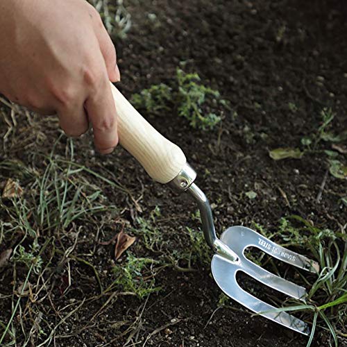 Herramienta manual para deshierbar AYZA miniatura 5