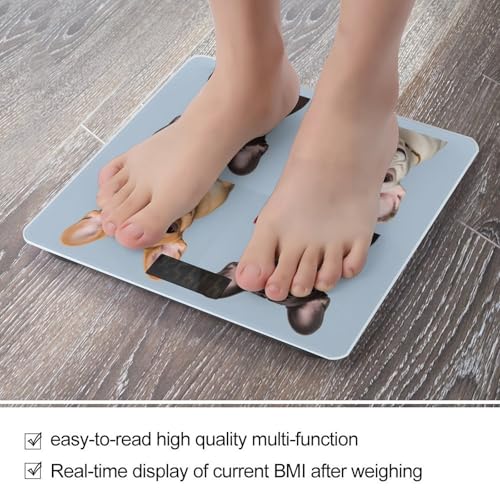 Báscula digital para baño estilo Bulldog francés miniatura 5