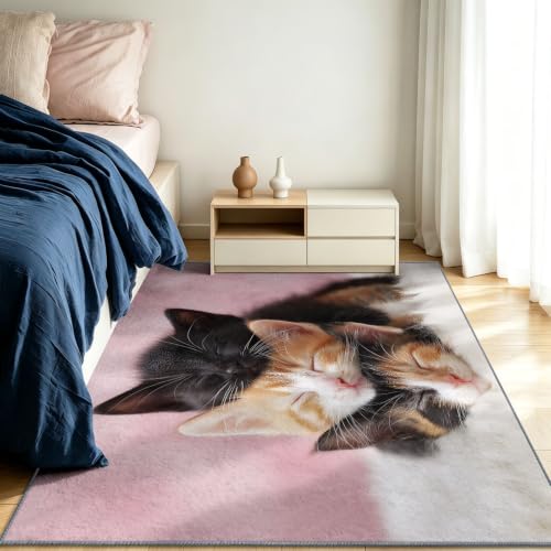 Alfombra moderna de gato de 120 x 170 cm mullida para proteger suelos de dormitorios 4