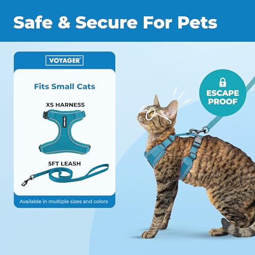 Image of Voyager Escape-Proof Step-in Lock Cat Harness & 5ft Neoprene-Handle Leash Set All-Weather Mesh with Reflective Stitching for Small to Large Cats by Best Pet Supplies, Turquoise (327), XS