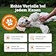 Zesty Paws Probiotic Chews für Hunde | Verdauungssnacks für Hunde | Weicher Hunde Leckerlis für den Darmflora Aufbau Hund für Gutes Allgemeinbefinden des Hundes - Kürbisgeschmack | 90 STK