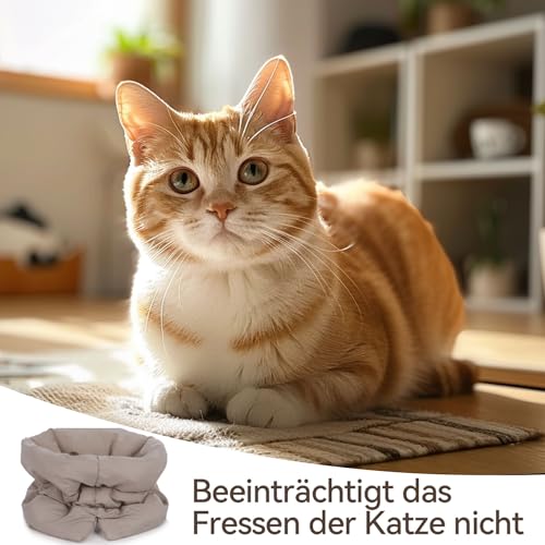 Katzen Nach Op Halsband, Weiche Verstellbare Atmungsaktive Halskrause, Wundschutz Kragen Verhindert Lecken von Wunden, Ideal für Katzen und Kätzchen bei Operationen und Wundpflege (Khaki)