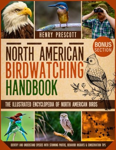 best bird identification books that will transform your nature walks 7 North American Birdwatching Handbook: The Illustrated Encyclopedia of North American Birds | Identify and Understand Species with Stunning Photos, Behavior Insights & Conservation Tips