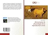 Éditions universitaires européennes