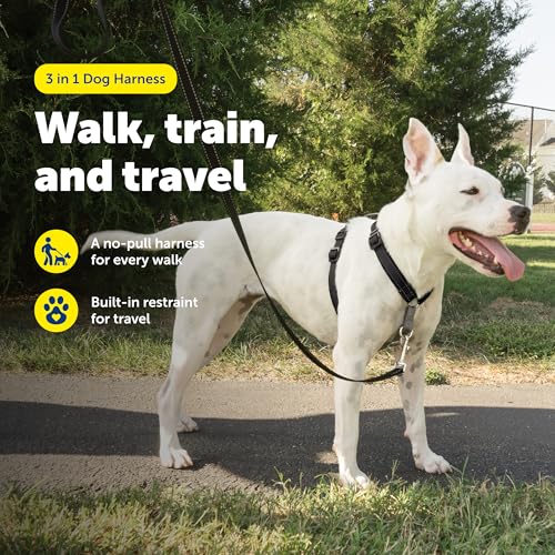 PetSafe 3-in-1 Harness - Comfortable Easy-Walk Dog Chest Harness with Front Leash Attachment to Reduce Pulling, Choking & Gagging - Dog Obedience Gear - Medium - Black - Image 3