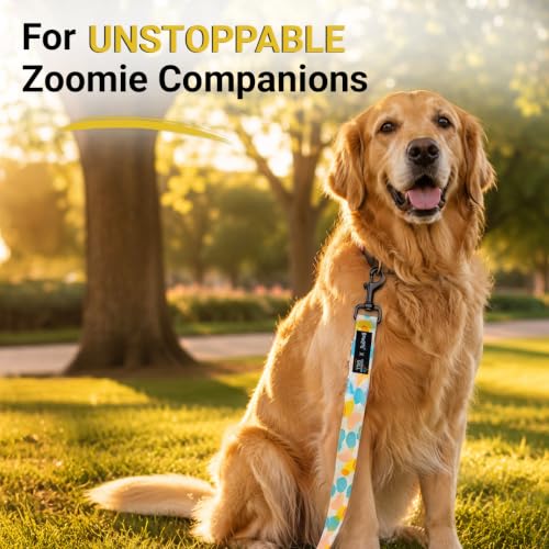 Image of Bowlers Dog Leash for Small, Medium & Large Dogs | Green & Yellow Design | Durable Nylon Pet Walking Lead | Strong Metal Hook | Comfortable Grip for Daily Walks & Training
