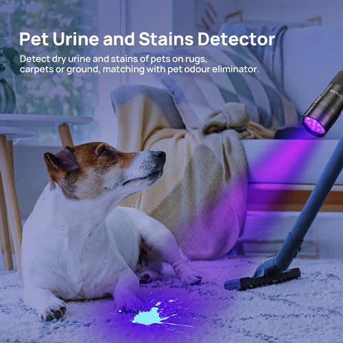 Consciot ACE002-US Uv Flashlight Black Light, Consciot 12 Led 395Nm Ultraviolet Blacklight, Portable Mini Torch Light Pet Urine Detector thumb #3