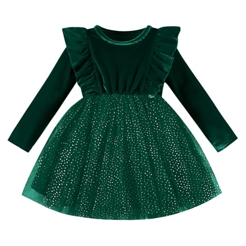 DREAM BUS Toddler Girl Christmas Dress Baby Girl Long Sleeve Ruffled Velvet Top Tulle Dress Special Occasion Dress