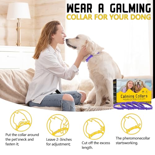 Image of 5 Pack Calming Collar for Dogs, Dog Pheromone Calm Collars Relief Anxiety Stress Separation Lasts 60 Days Relieve Bad Behavior, 25 in Size for All Small Medium and Large Dog (Purple)