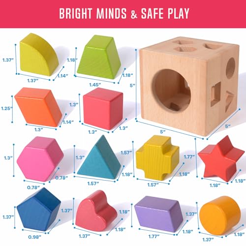 Timfuis ST01 Wooden Shape Sorting Toy thumb #5