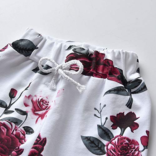Baby Girl Clothes Long Sleeve Floral Hoodie Sweatshirt Pants With Pocket Headband Outfit Sets (0-6 Months) Wine Red #TOP5