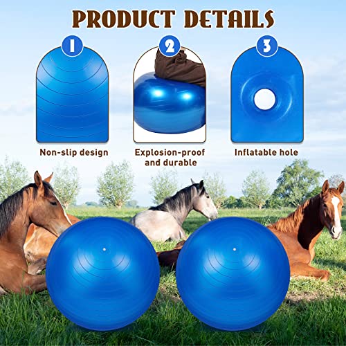 2 Pcs 25 Inch Horse Ball For Play Large Horse Ball Big Herding Ball For Horse Anti Burst Horse Soccer Ball Giant Horse Play Ball Toys For Horses To Play With, Pump Included (Dark Blue, 25 Inch) #TOP2
