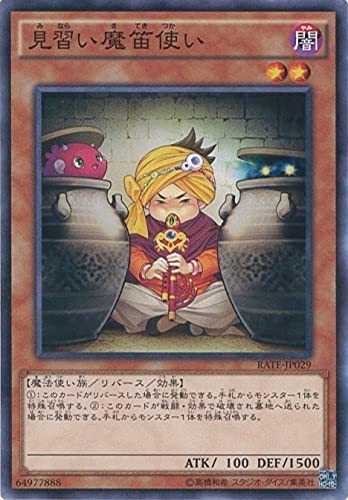 Amazon.co.jp: 遊戯王OCG 見習い魔笛使い ノーマル RATE-JP029 遊☆戯
