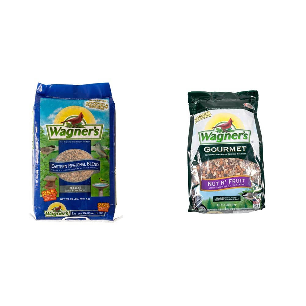 10 Best Nut and Fruit Bird Seed for Healthy and Happy Birds