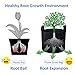 PHYEX 12-Pack 3 Gallon Grow Bags, Heavy Duty Fabric Pots with Handles, Reusable Plant Bags for Vegetable, Herbs & Flowers, BPA-Free, Breathable, Durable