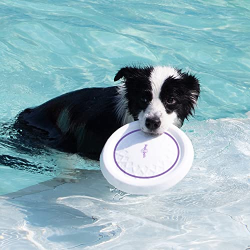 GiGwi Frisbee Dog Toy, Flying Disc, Throwing Ring, Disc, Pop Pals, Made of E-TPU (Infinergy), Extremely Elastic and Durable - Image 2
