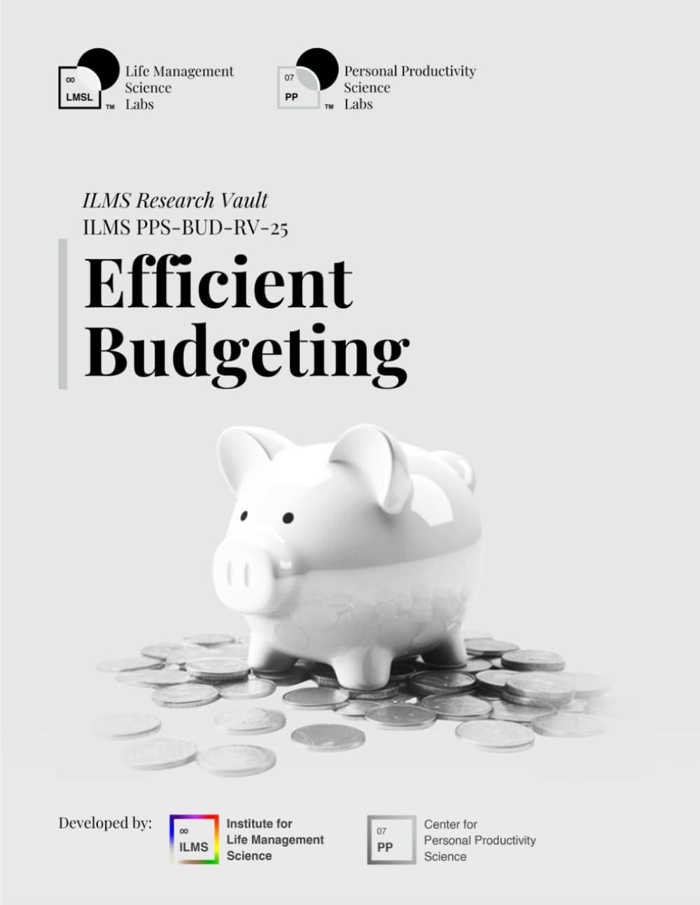 ILMS Research Vault - Efficient Budgeting (PPS-EBU-RV-25)