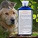 Arava Natural Medicated Dog Shampoo – Antibacterial Antifungal Anti Yeast Anti Itch Dog Shampoo - Healthy Skin & Coat - First Aid in Hot Spots Ringworm Scrapes Abrasions & Dermatologic Infections 