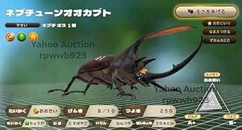 Amazon.co.jp: カブトクワガタ スペシャルコード 7点セット