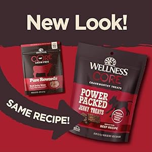 Wellness CORE Energy Packed Canine Treats (Beforehand Pure Rewards), Grain-Free Tender Jerky Treats, Made in USA (Beef Recipe, 4-Ounce Bag)