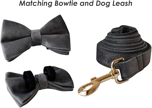 Miniatura 10 de Collar de terciopelo para perro personalizado con nombre, número de teléfono grabado, collares personalizados para mascotas con hebilla de metal