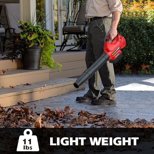 Image of PowerSmart 40V 20 inch Self-Propelled Mower + 465 CFM Blower