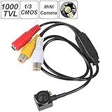 BANGWEIER BWECCT_549