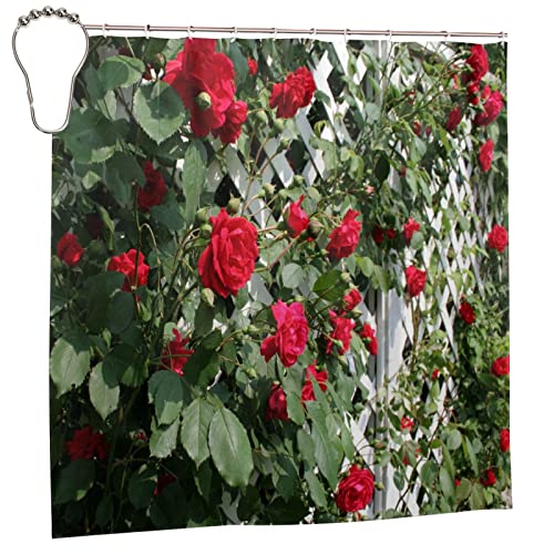 SATOHA Red Rose Flower and Green Leaf Shower Curtain Set including 12 Hooks - Bath Fence Garden Outdoor Scenic Fabric for Bathroom - Image 2
