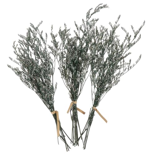 Ramo de flores secas Gypsophila x3 para decoración miniatura 1