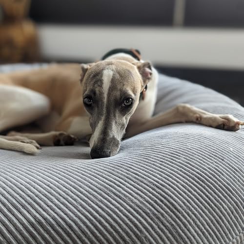 EDEL&SCHNELL Hundebett Wechselbezug in Grau, Ersatzbezug für runde Hundebetten 65 cm, Bezug aus weichem Baumwoll-Cord-Stoff