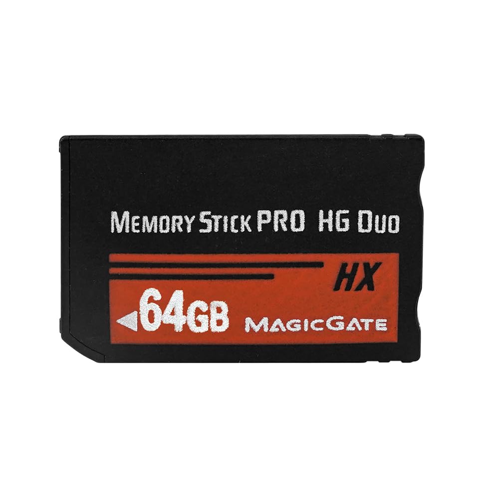 Amazon.com: ANXILE HX64 GB Memory Stick Pro-HG Duo for PSP