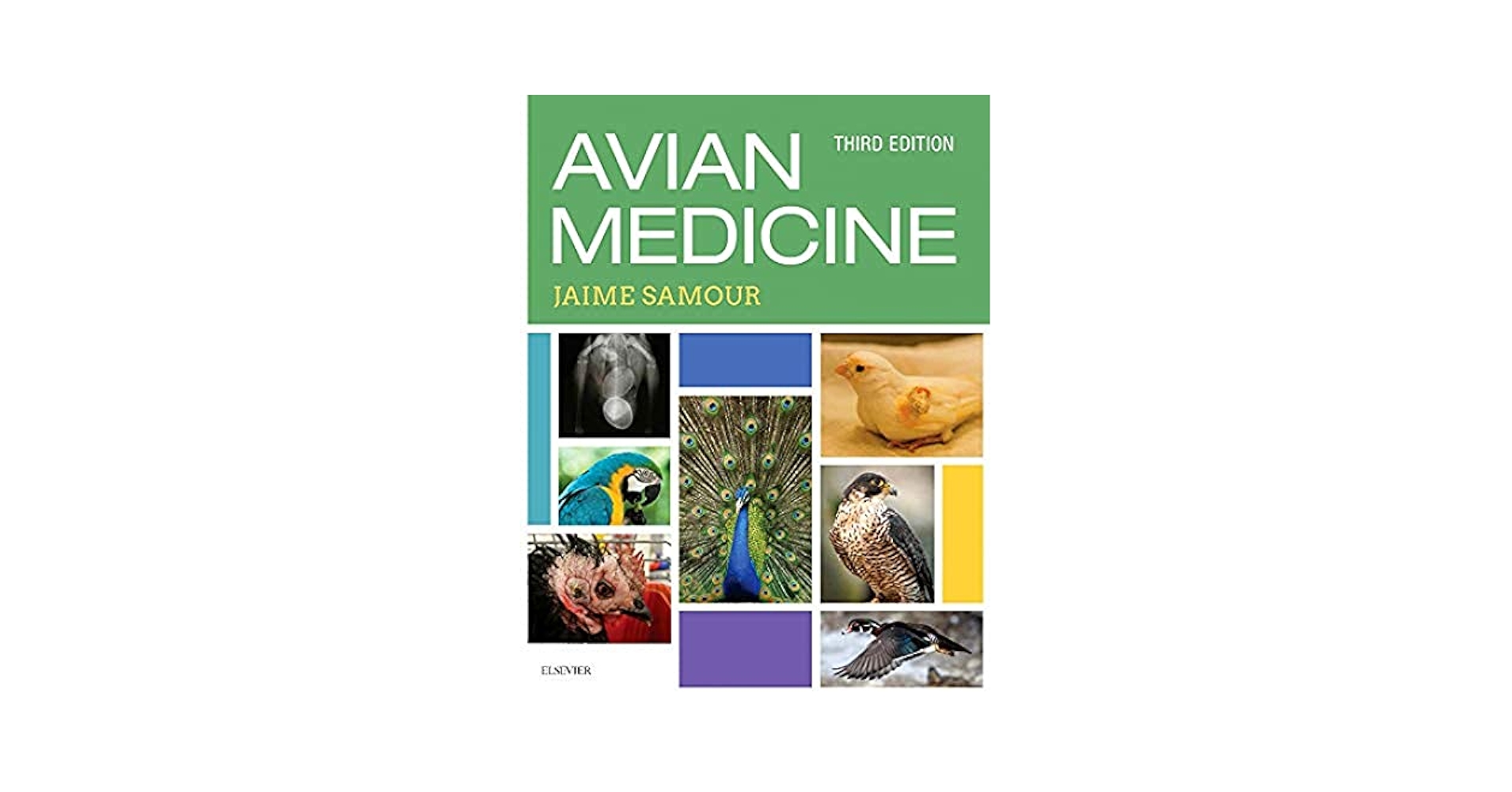 語学+参考書 Avian Medicine Amazon.com: Avian Medicine and Surgery in Practice