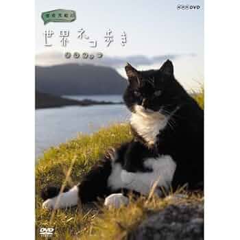 Amazon.co.jp: 岩合光昭の世界ネコ歩き ノルウェー DVD【NHK