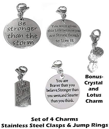 Image of Hidden Hollow Beads 4 Clip On Charms for Purse, Handbag, Keychain, Zipper Pull, Backpack, Jewelry Accessory, USA