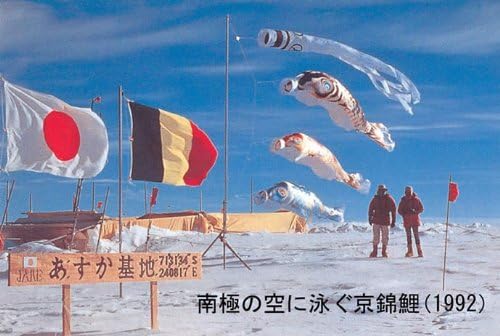 徳永 鯉のぼり 家紋・名前入可能 （ポール別売） 京錦セット 9m7点セット 献上手染 友禅之鯉 京錦 吹流9m黒9m赤8m青7m緑